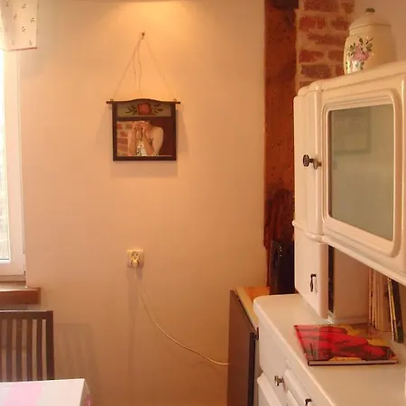 Appartement Rybaki Center *
